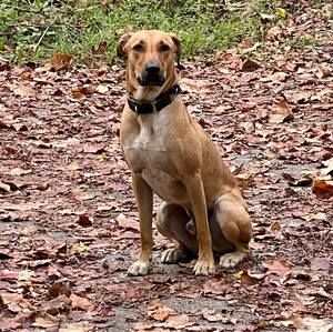 Meet your Posher, Alicia